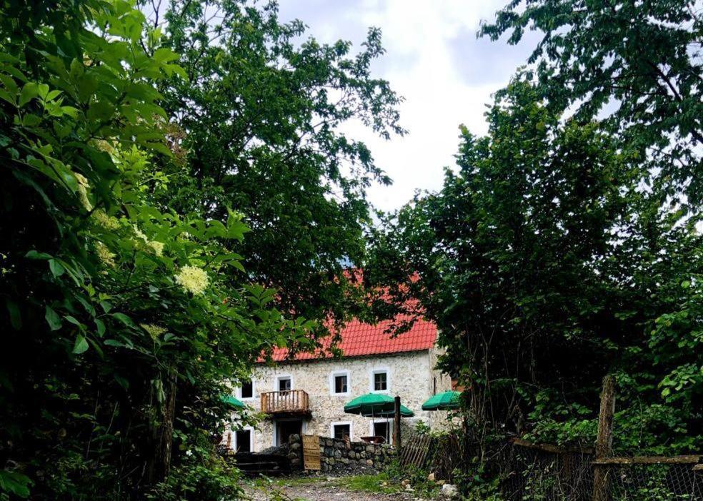 Guesthouse Kujtimi Тет Екстериор снимка